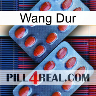 Hard Wang 05